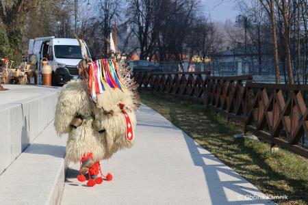 Kurenti iz Zamušanov v Kamniku preganjali zimo (39)